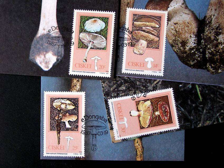 CISKEI Maxi Card Set - Edible Mushrooms 1987