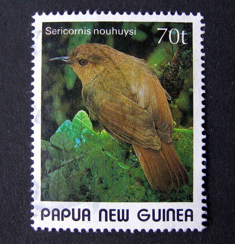 PAPUA NEW GUINEA - Small Birds 1989