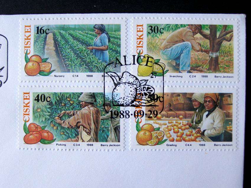CISKEI Cover - Citrus Farming 1988