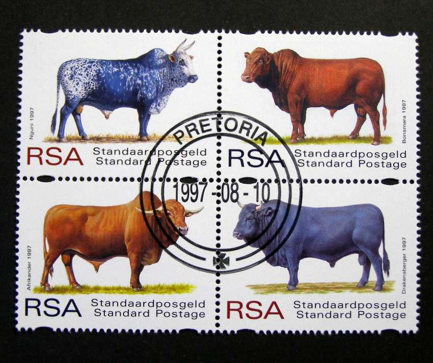 SOUTH AFRICA Set (CTO) - Indigenous Cattle 1997