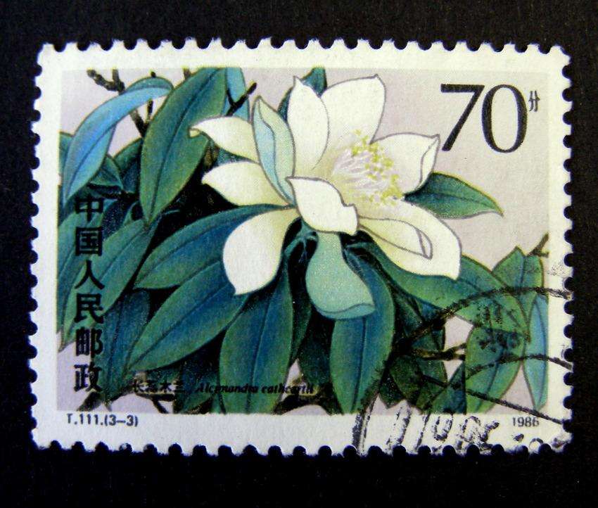 CHINA - Magnolias 1986 //Flowers