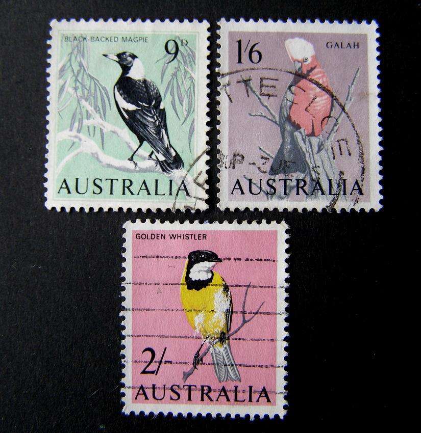 AUSTRALIA - Birds 1964