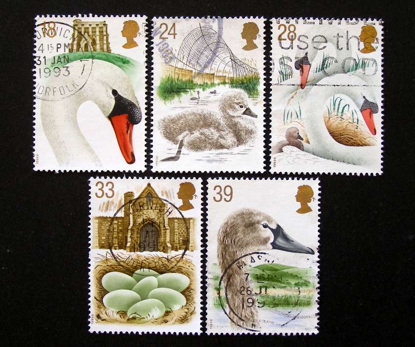 GREAT BRITAIN Set - 600th Anniv. of Abbotsbury Swannery 1993 //Birds