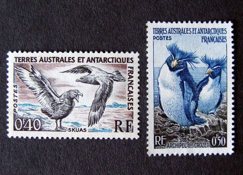 FRENCH SOUTHERN AND ANTARCTIC TERRITORIES - Definitive 1956 //Birds