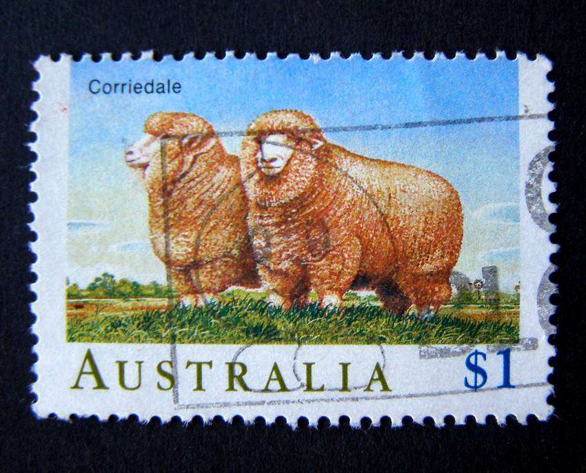 AUSTRALIA - Sheep 1989