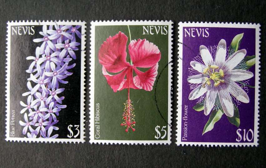 NEVIS - Flowers 1984
