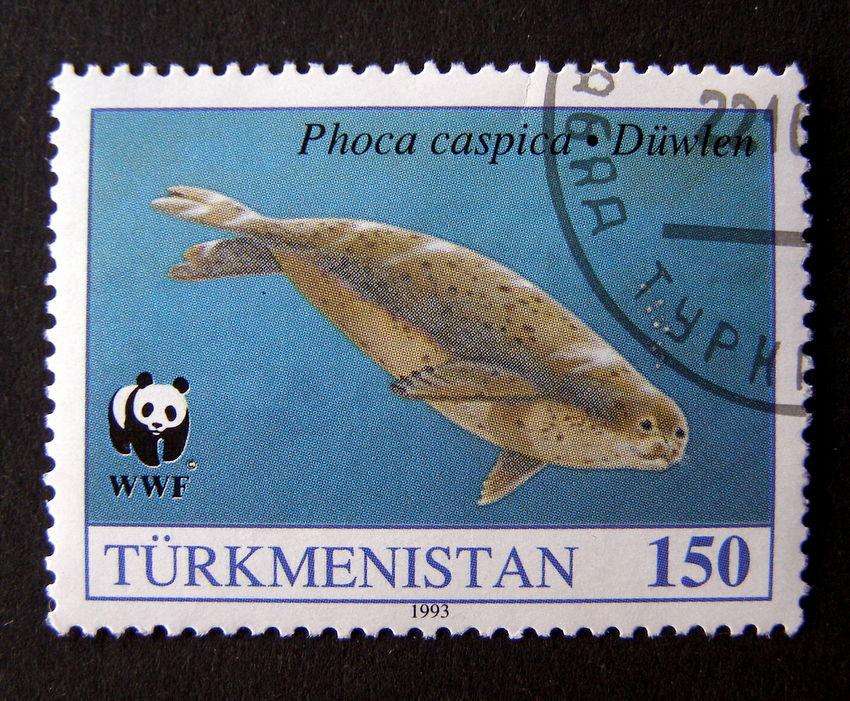 TURKMENISTAN - Caspian Seal 1993