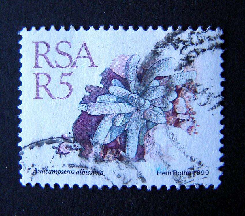 SOUTH AFRICA - R5 Succulents Definitive additional value 1990