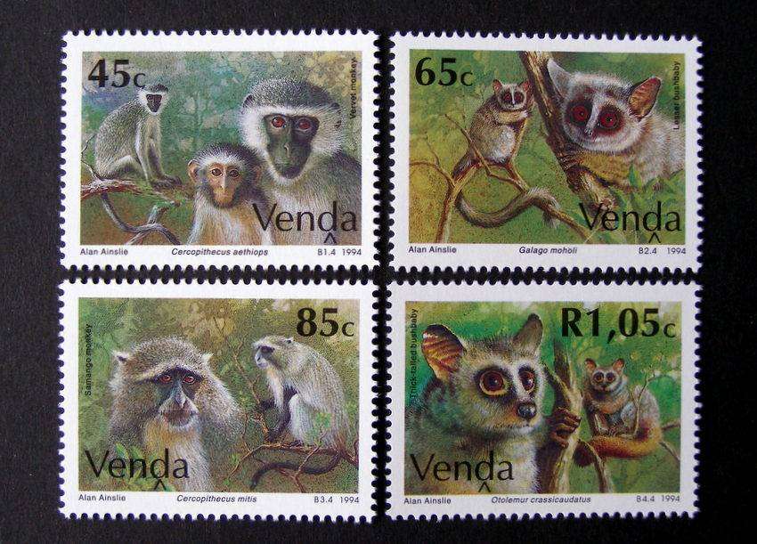 VENDA Mint Set - Monkeys1994