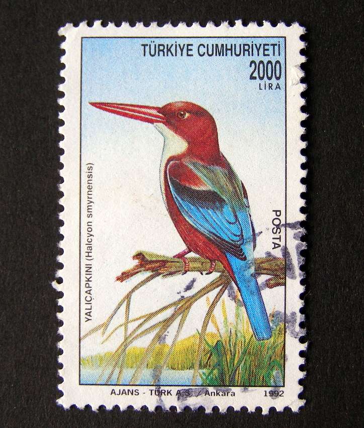TURKEY - Birds 1992