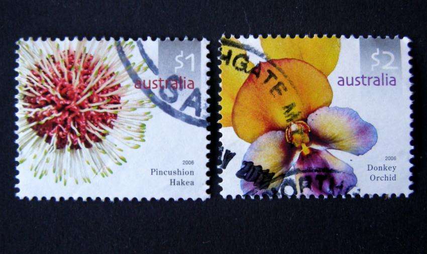 AUSTRALIA - Wildflowers 2006