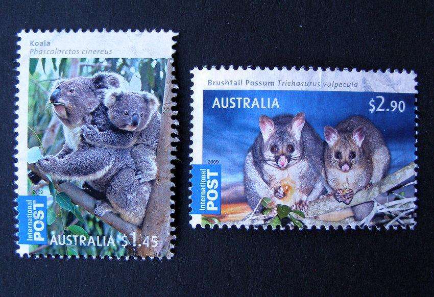 AUSTRALIA - Australian Bush Babies 2009