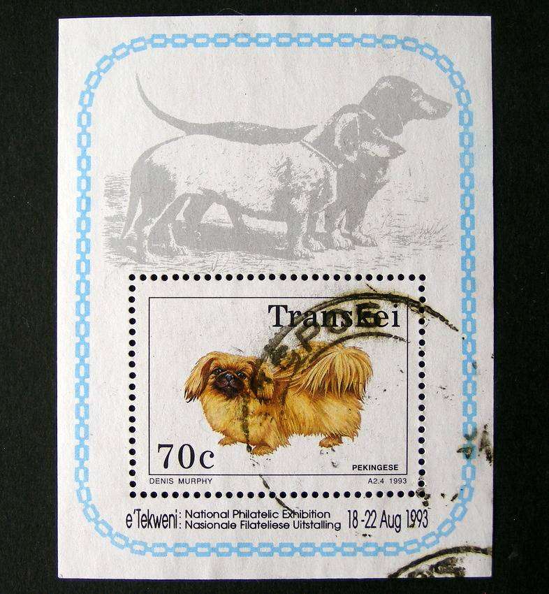 TRANSKEI Miniature Sheet - Dogs 1993