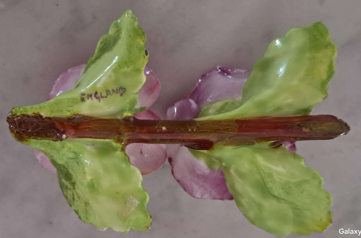 Various English porcelain