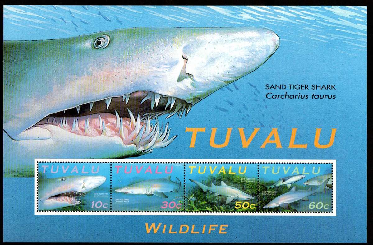 TUVALU 2000 ENDANGERED SPECIES SAND TIGER SHARK UMM MSHEET. AS PER SCANS. NICE THEMATIC ITEM.