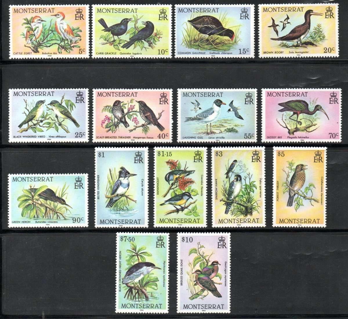 MONTSERRAT 1984 BIRDS UMM SET OF (X15) SINGLES. SG600/14. AS PER SCANS. CV GBP 25+. LOVELY THEMATIC.