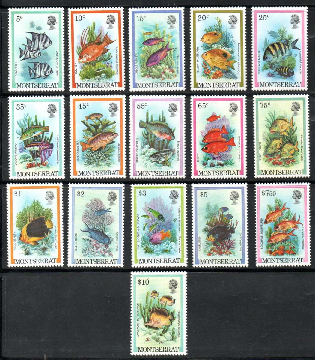 MONTSERRAT 1981 FISH UMM SET OF (X16) SINGLES. AS PER SCANS. SG555/70. CV GBP 14+. NICE THEMATIC SET