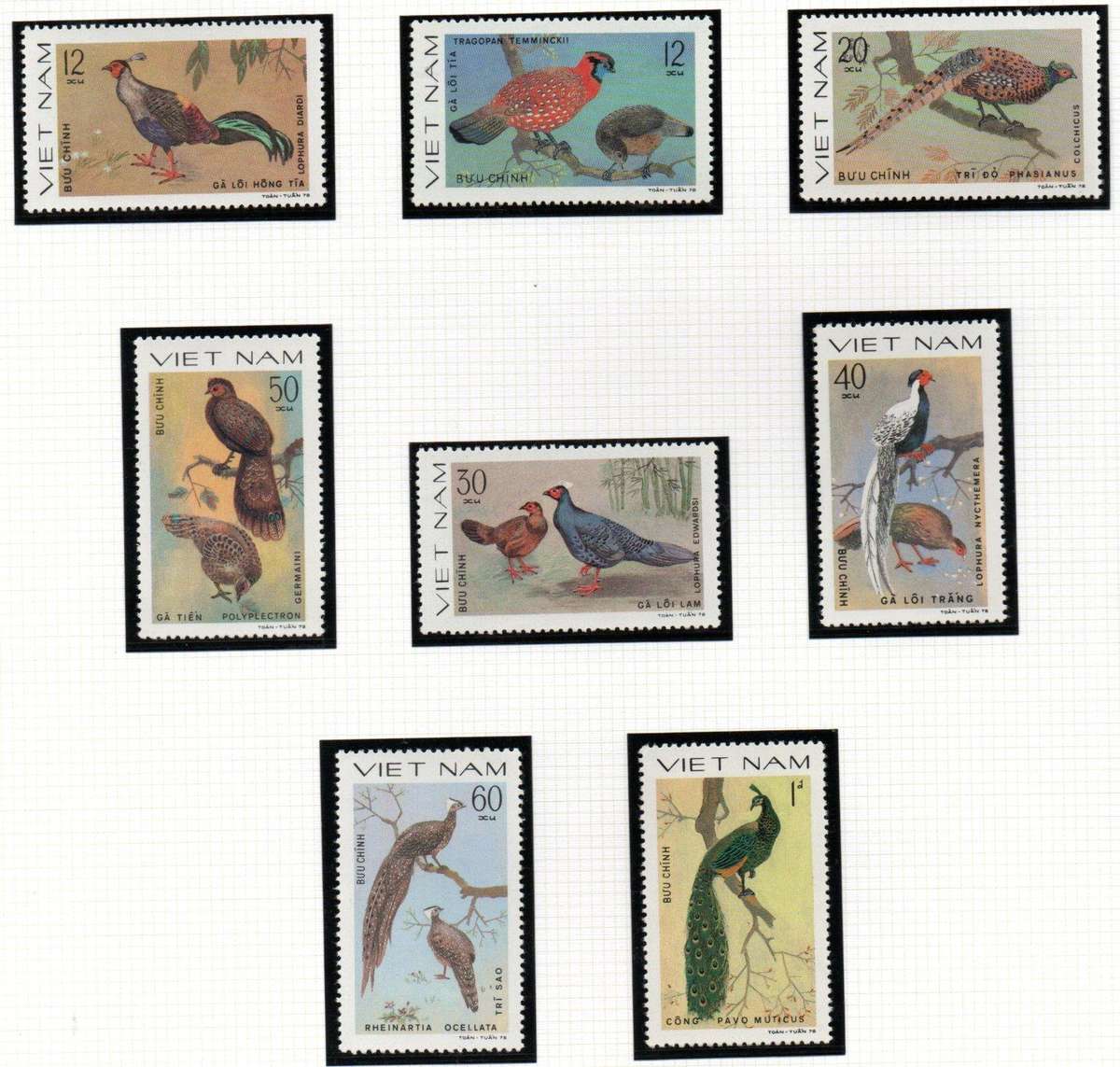 VIETNAM 1979 ORNAMENTAL BIRDS UMM SET OF (X8) SINGLES. SG280/7. LOVELY THEMATIC SET.