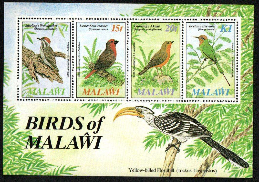 Malawi 1985 birth bicent Of John J Audubon (birds) umm msheet  SGMS737 CV GBP 8+ - lovely thematic