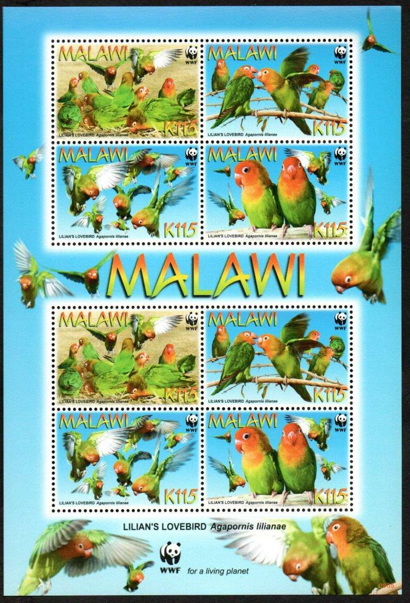 Malawi 2009 Endangered species (WWF) Lilians Lovebird umm msheet of (x8)  SGMS1045  CV GBP 13.