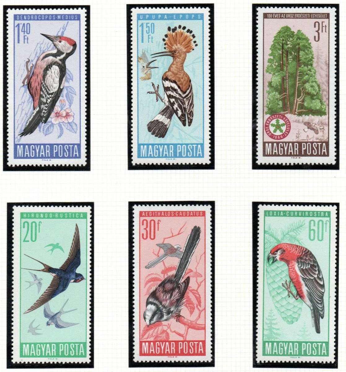 Hungary 1966 Protection of birds umm set of (x6) singles  SG2184-2189  lovely thematic set.
