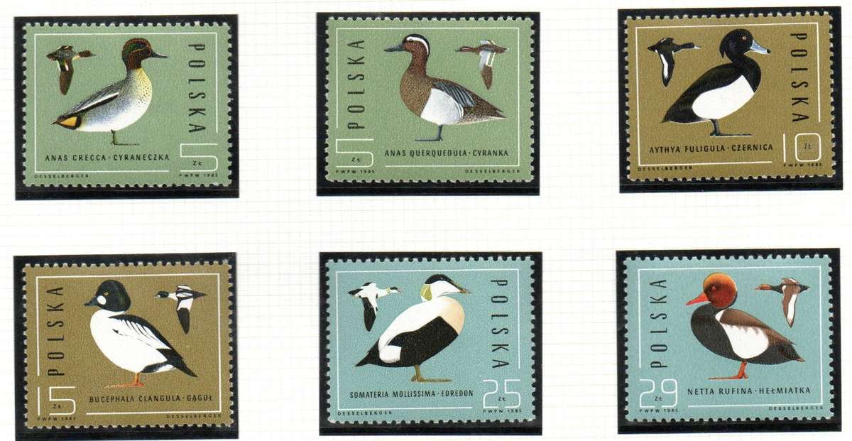 Poland 1985 wild ducks umm set of (x6) singles  SG3011-16  lovely birds thematic.