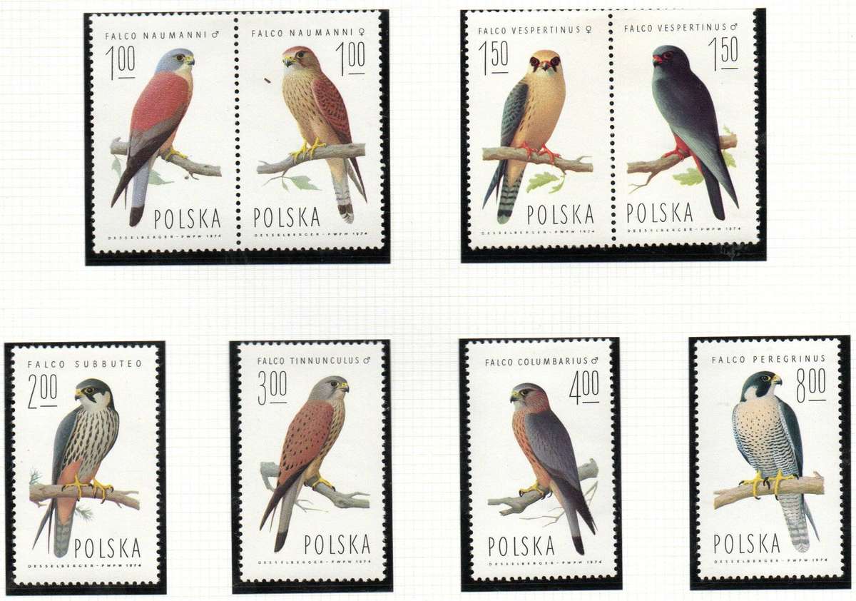 Poland 1975 birds of prey umm set of (x8) in singles/pairs - SG2341-2348 - CV GBP 8+.