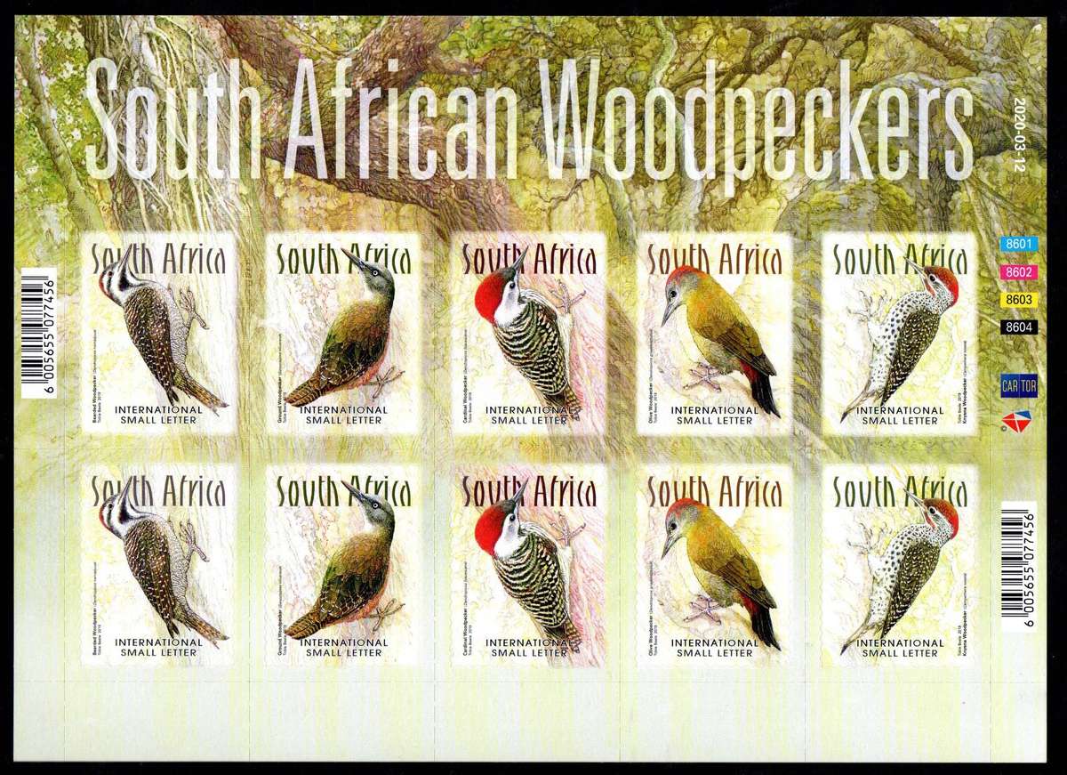 RSA 2020 Woodpeckers of SA self-adhesive sheetlet of (x10)  SACC2332 - as per scans - CV R750.