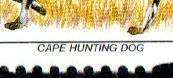 RSA 1997 6th Def Cape Hunting Dog blk of (x4) umm with raised name  as per scans.