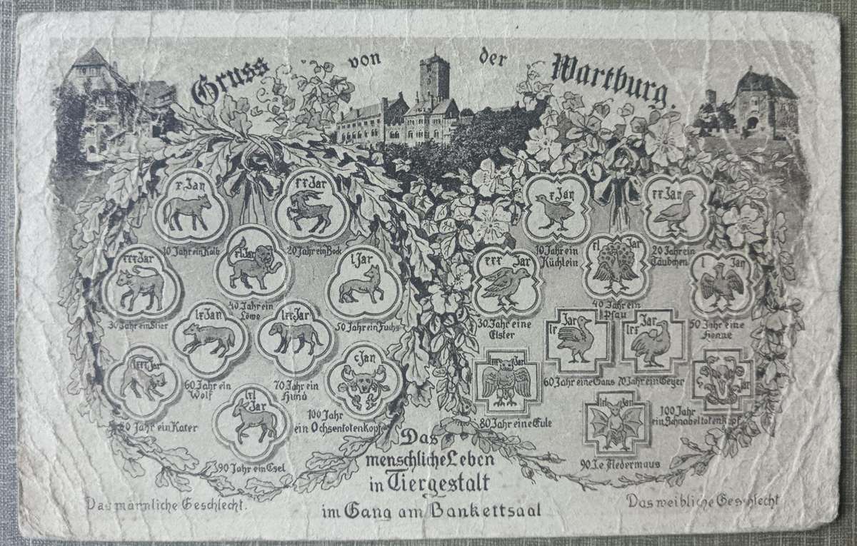 German Reich used postcard Donauworth to Augsburg