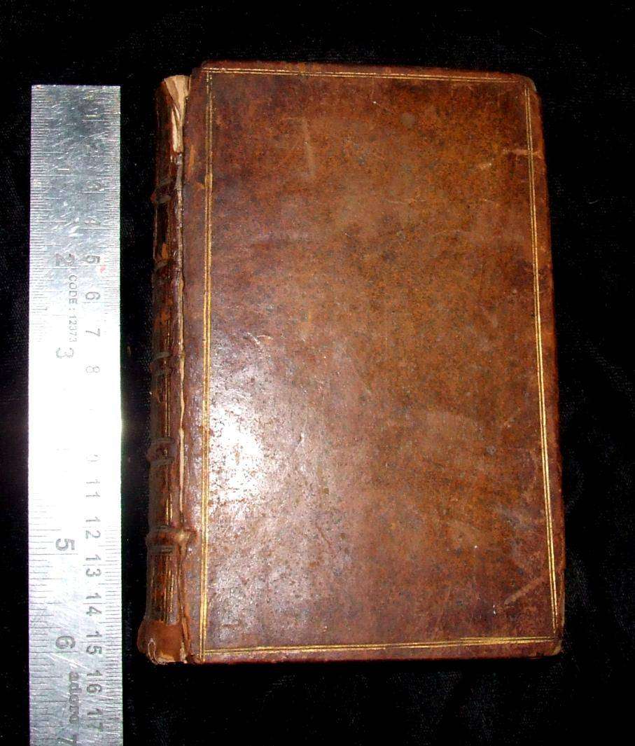 A Ladies Travels trough Europe, Asia and Africa