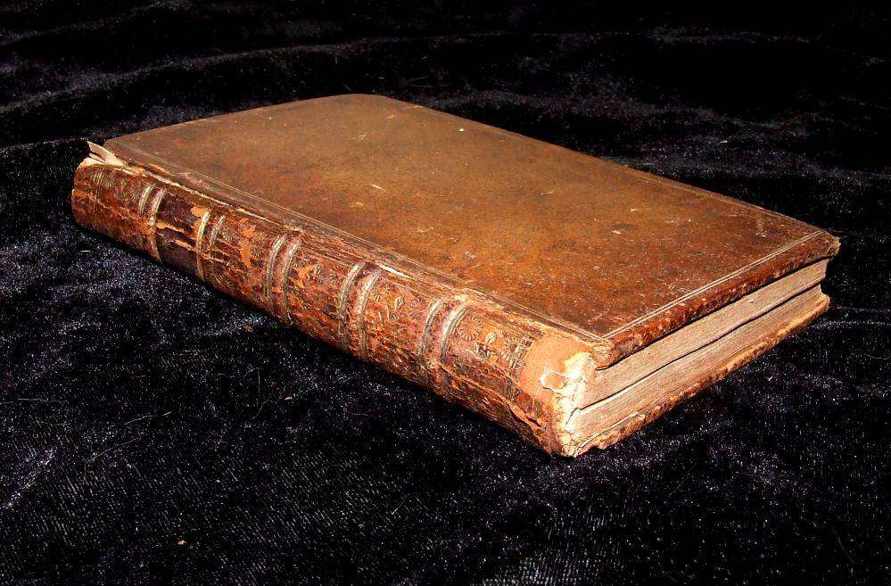 A Ladies Travels trough Europe, Asia and Africa