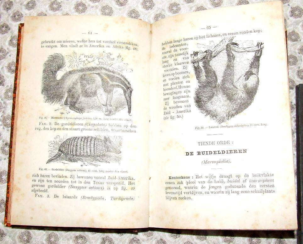 Dierkunde 1884 + 1888 & Passionsspiele 1930