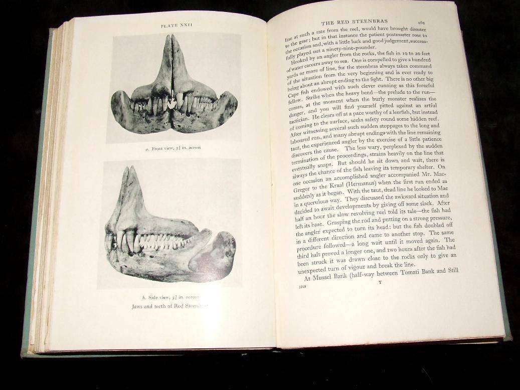 Vintage Books on South African Fishing