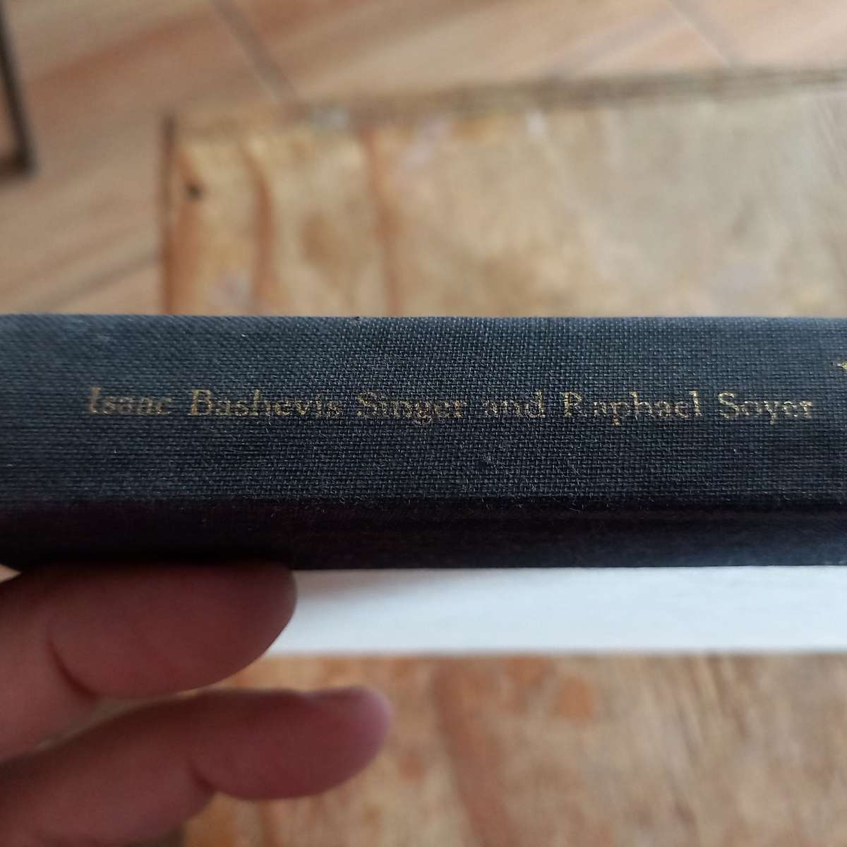 Lost in America by Isaac Bashevis Singer