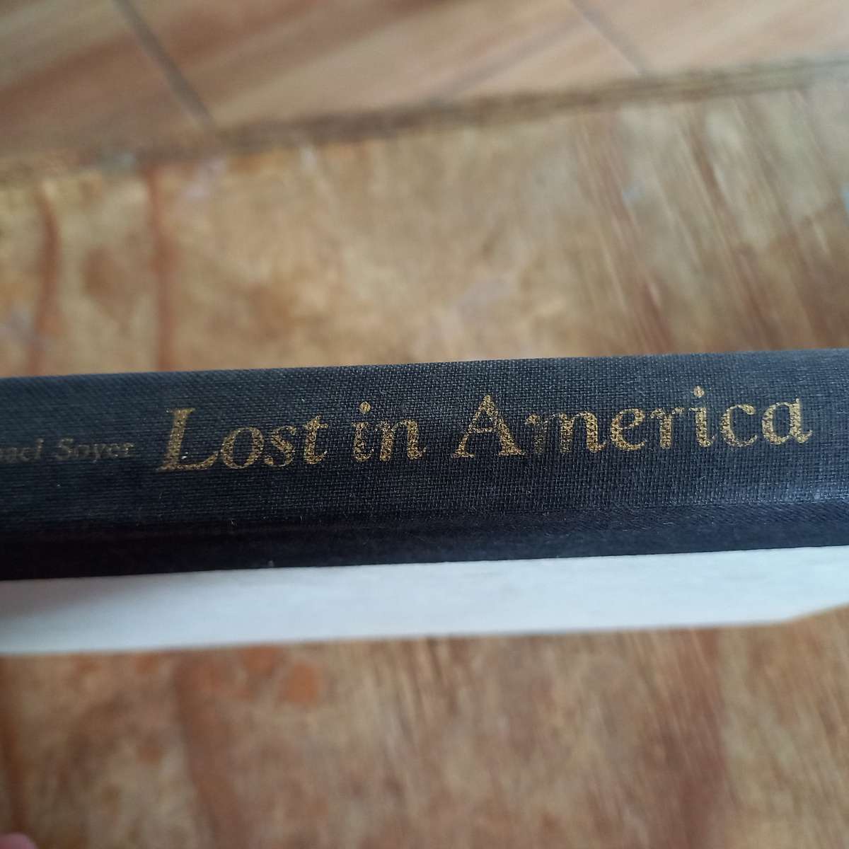 Lost in America by Isaac Bashevis Singer
