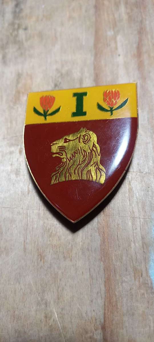Regiment Del a Rey SA infantry flash/badge