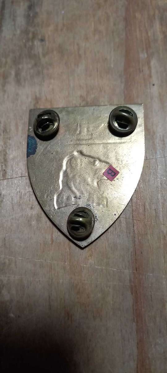 Regiment Del a Rey SA infantry flash/badge