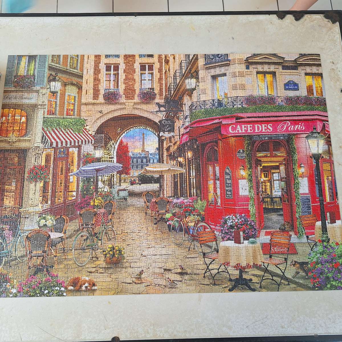 RGS high quality 1500 piece puzzle - Complete