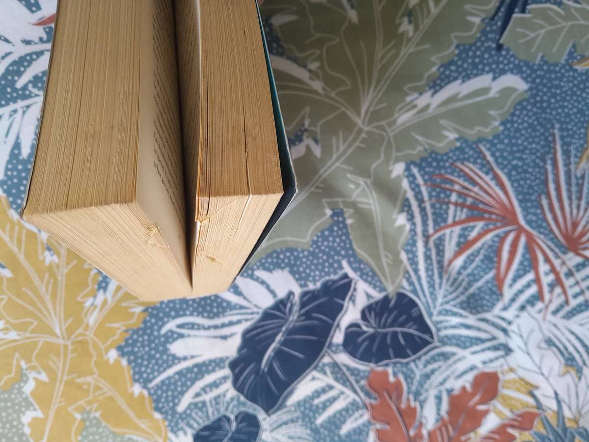 Harry Potter and the Goblets of fire