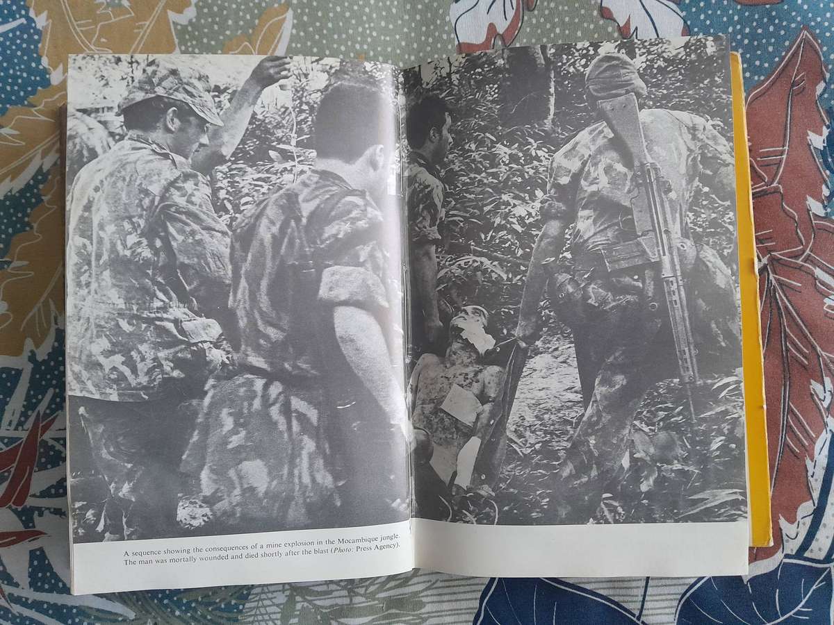 The Zambezi Salient - AL J.Venter