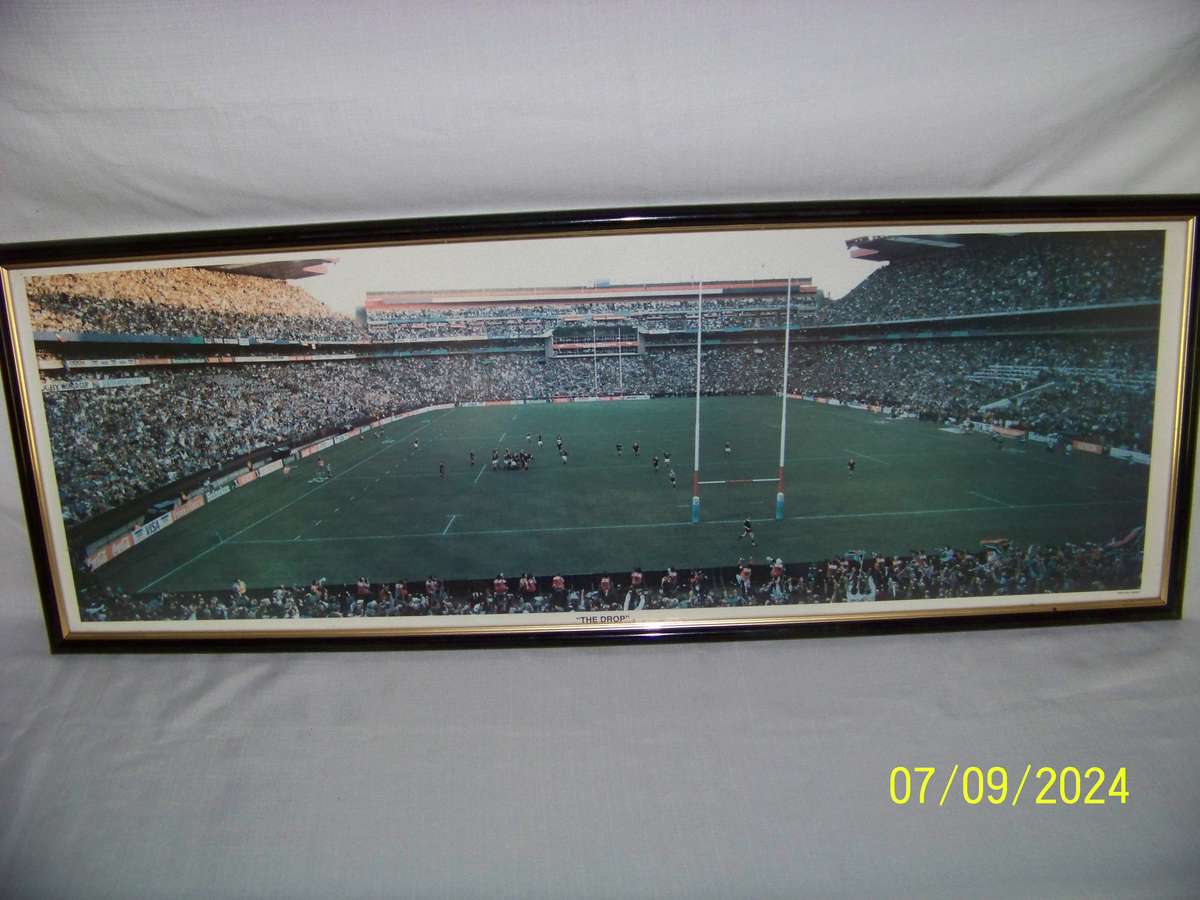 1995 Rugby World Cup Final Moment