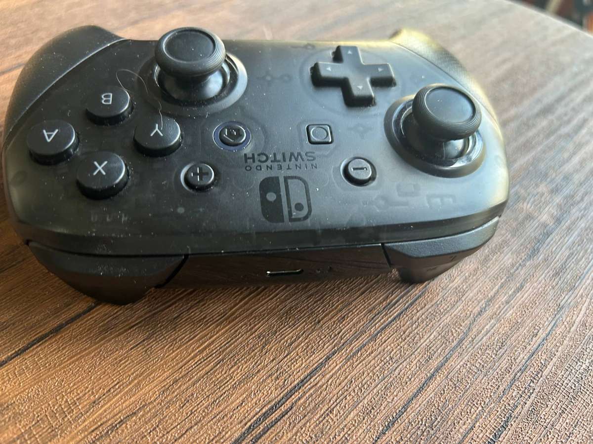 Nintendo switch pro controller