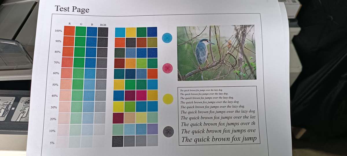 Konica Minolta C364e