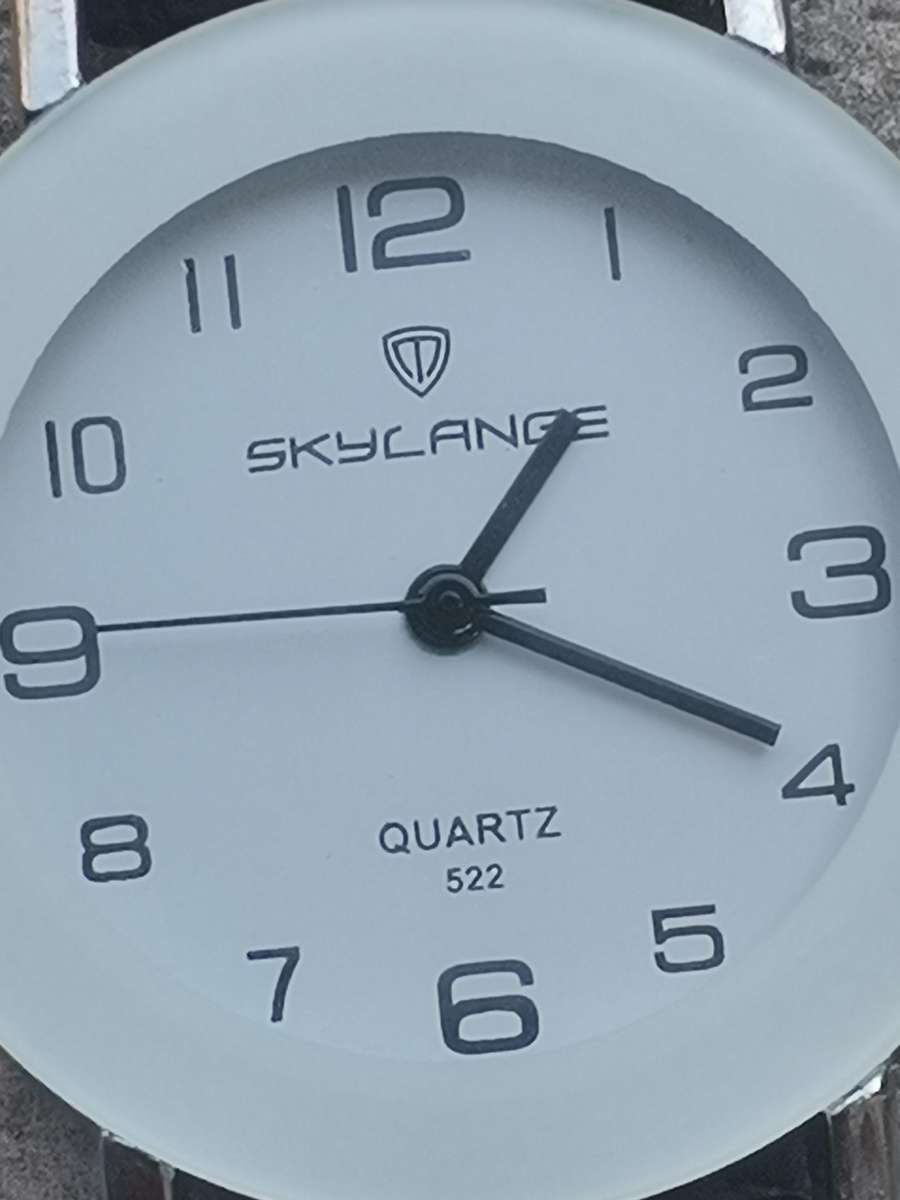 SKYLANGE DESIGNER MENS WATCH IN EXCELLENT WORKING CONDITION