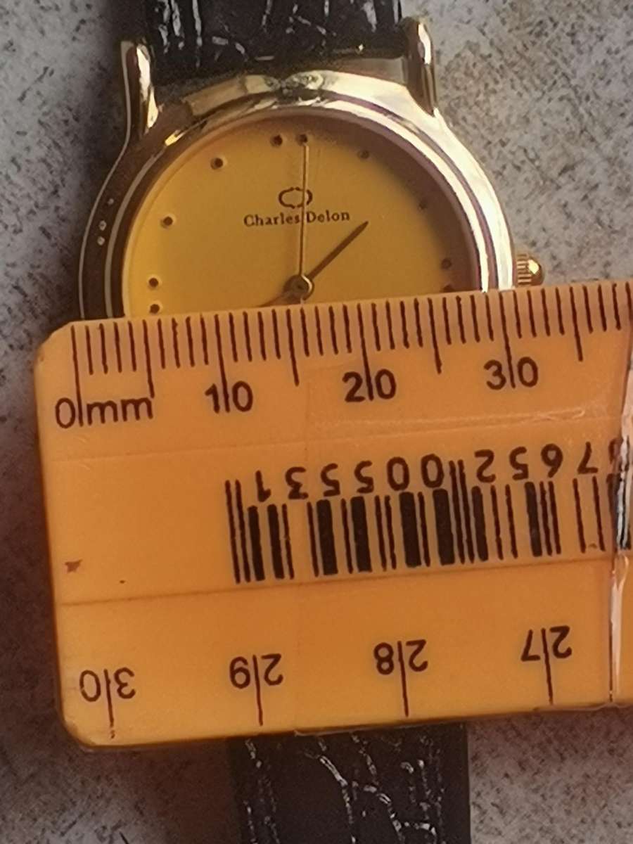 MENS CHARLES DELON WATCH IN EXCELLENT WORKING CONDITION