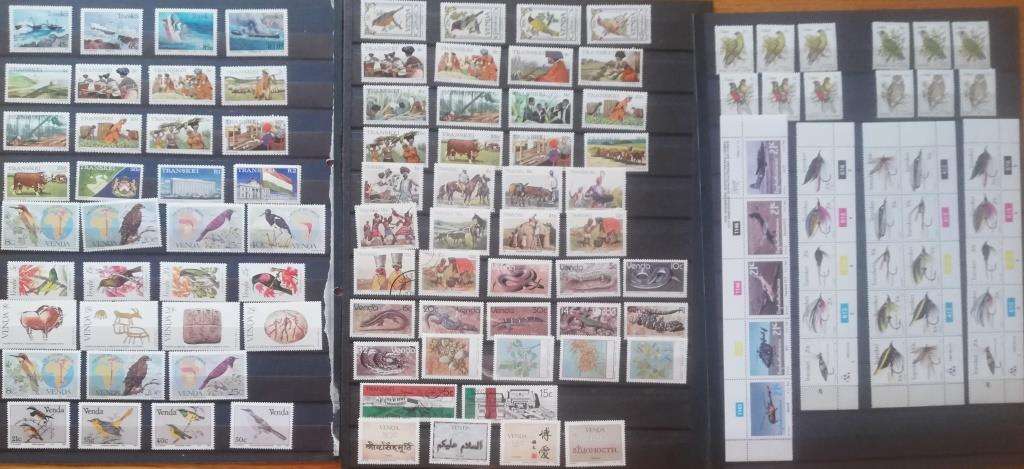 Homelands Mix (Lot974)