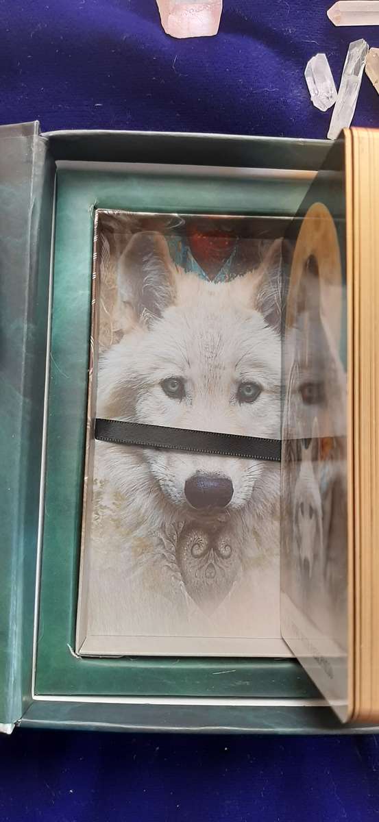 WILD WOMAN RISING ORACLE CARD DECK