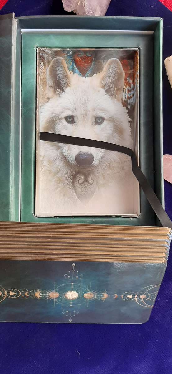 WILD WOMAN RISING ORACLE CARD DECK