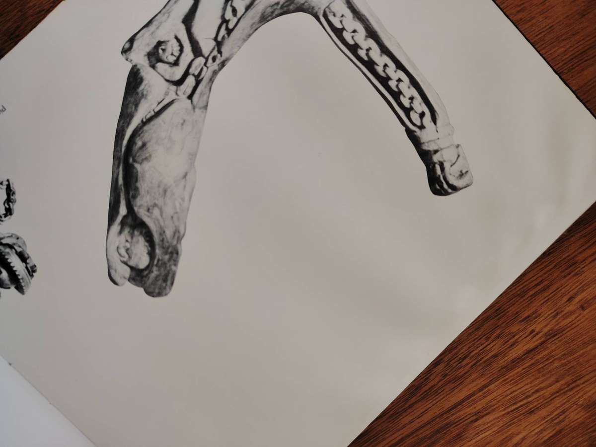 ECHOES OF AFRICAN ART A Century of Art in South Africa